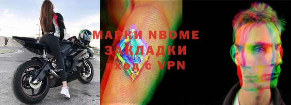 прущие грибы Алзамай