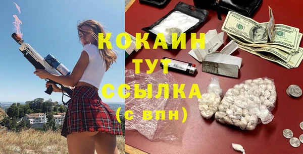 прущие грибы Алзамай