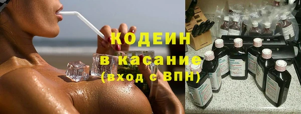 прущие грибы Алзамай