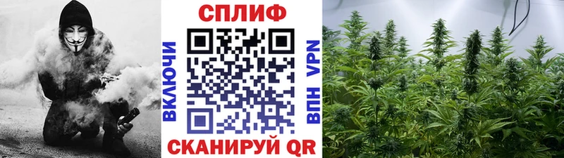 KRAKEN ТОР  Данков  Бошки марихуана Ganja 